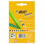 giz-de-cera-bic-ev-c-12-903899-572497-572497-2