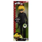 miraculous-cat-noir-1861-883174-883174-1