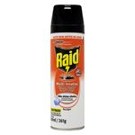 raid-casa-e-jardim-aero-300ml-069710-069710-1