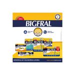 fr-bigfral-confort-m-c-8-683299-683299-2
