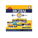fr-bigfral-plus-xg-7un-898007-898007-1
