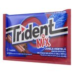 trident-canela-hortela-8g-151100-151100-1
