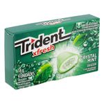 trident-9s-xf-menta-clutch-c1-207746-207746-2