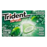 trident-9s-xf-menta-clutch-c1-207746-207746-3