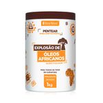 cpp-blz-nat-oleos-africanos-1k-272971-272971-1