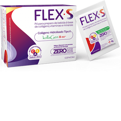flex-s-c-30-saches-4gr_014811