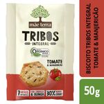 snack-mae-terra-tribos-orgtom-154575-154575