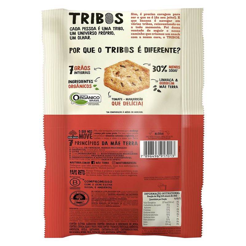 snack-mae-terra-tribos-orgtom-154575-154575