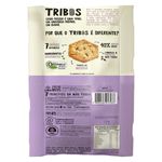 snack-mae-terra-tribos-chilli-156059-156059