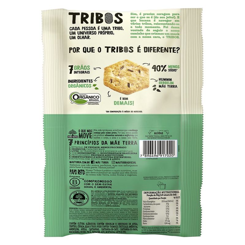 snack-mae-terra-tribos-gerg-156166-156166