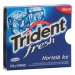 trident-fresh-hortela-ice_306037