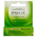 acnederm-stick-secativo-4gr_085120