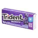 trident-18s-blueberry-30-6gr_142950