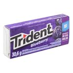 trident-18s-blueberry-30-6gr-142950-142950