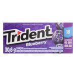 trident-18s-blueberry-30-6gr-142950-142950
