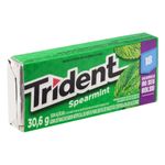 trident-18s-spearmint-30-6gr-142968-142968