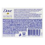 sab-dove-go-fresh-energizante-265730-265730