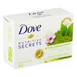 sab-dove-go-fresh-energizante-265730-265730