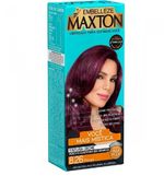 tint-maxton-marsala-826_405852