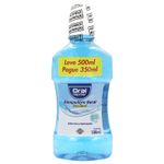 oral-nexter-menta-su-l500p350m_504122