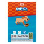 cad-cd-sapeca-96-folha-145033-787752-787752