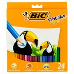 lapis-de-cor-bic-c-24-902638_977101