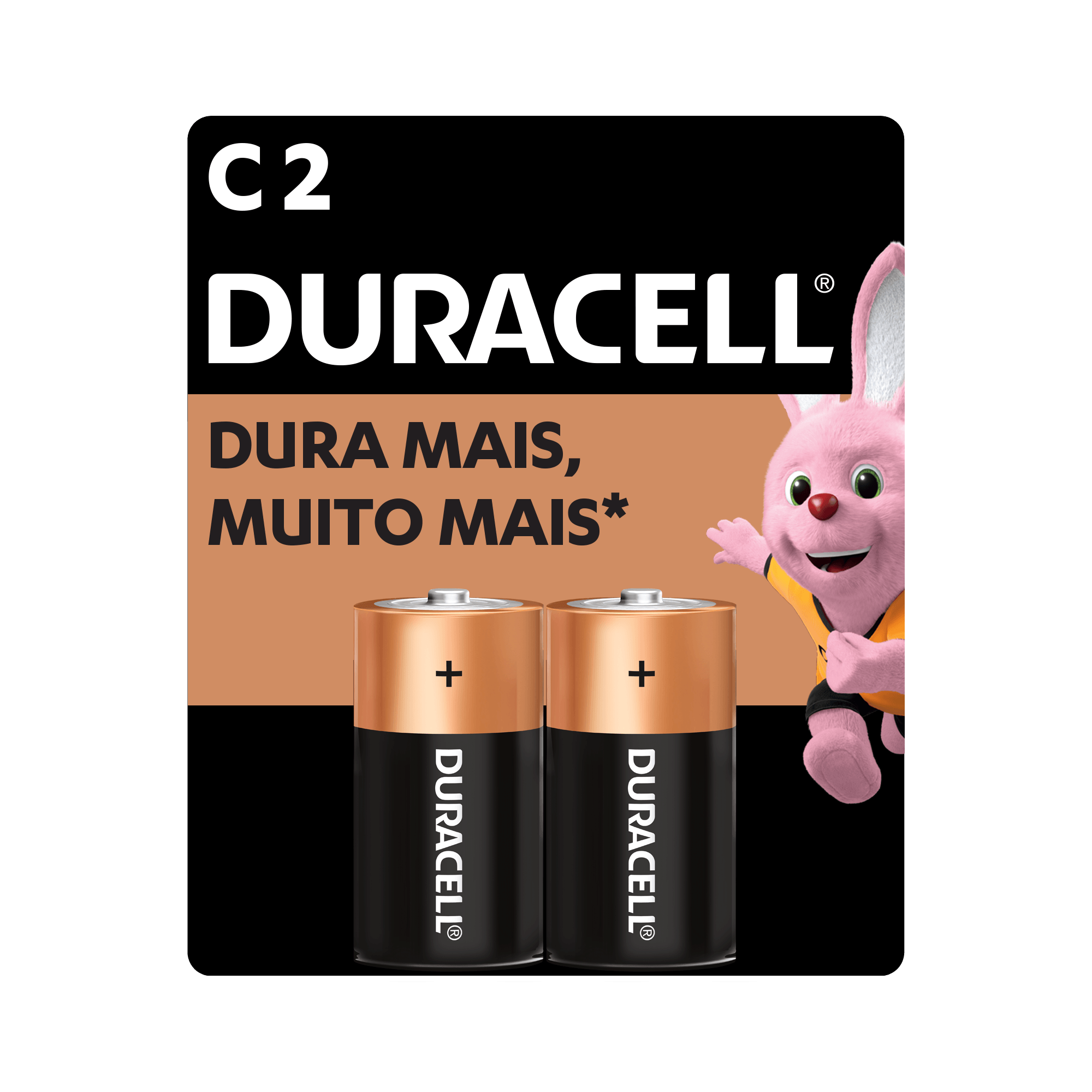 Pilha Alcalina AAA Palito com 2 Unidades - Duracell - Eletrônica