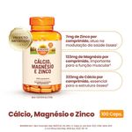30768043070-SuplementoAlimentarSundownCal-Mag-Zin100Comprimidos-1.jpg